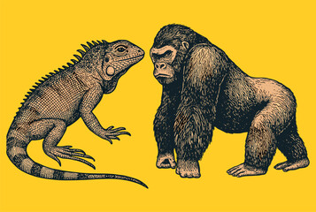 Hand drawn vintage engraving of iguana and gorilla in detailed naturalist style on a yellow background.