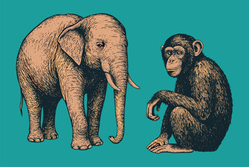 Elephant and Chimpanzee Vintage Animal Illustration