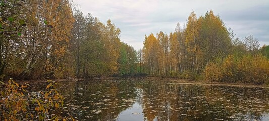 A pond with trees in the background