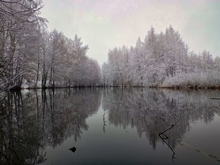 A snowy forest with a lake in the middle