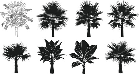 Fototapeta premium Tropical palm and exotic tree silhouettes collection, black vector illustration for landscape, garden, nature, design, decoration, and summer art
