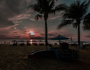 Silhouettes of palm trees on a tropical beach at sunset