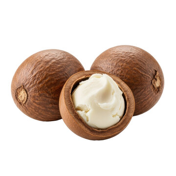 Three raw shea nuts, two whole and one cracked open revealing smooth creamy white shea butter, against a pristine plain transparent background with no shadows, concept of natural cosmetic ingredients