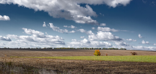 Wide forest belt.Horizontal panorama of a picturesque rural area. Impressive autumn clouds. Vast expanses of agricultural land.
