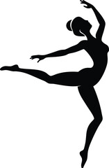 silhouette of a woman