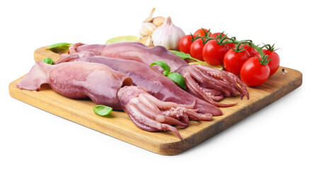 Fresh raw squids, tomatoes and spices isolated on white