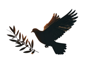 Flying Dove Silhouette with Olive Branch in Minimal Brushstroke Style, Transparent Background