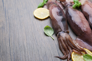 Raw squids, lemon slices and basil on wooden table, closeup. Space for text