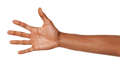 African-American man showing palm on white background, closeup © New Africa