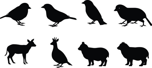 Bird and animal silhouettes collection including sparrow, goat, sheep, and rooster isolated on white background, vector wildlife illustration design