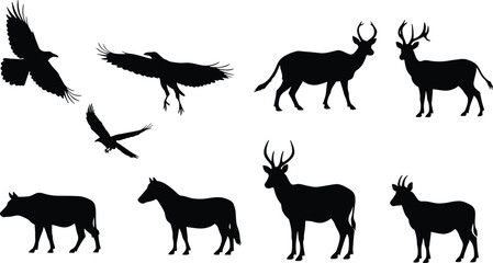 Wildlife animal silhouettes collection with flying birds, deer, horse, buffalo, and antelope isolated on white background, vector illustration design, nature concept