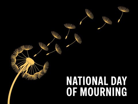 Dandelion seeds blowing in the wind symbolizing remembrance and loss on national day of mourning
