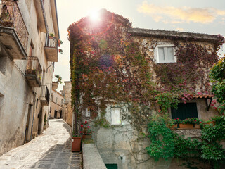 Narrow street in an old Italian town with a house covered in green ivy, charming historic architecture and romantic travel scene.