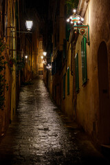 Narrow Italian old town street at night, rainy, wet, illuminated