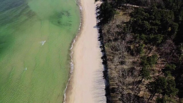 Crystal-clear sea, a shoreline with golden sand, along which a dense forest stretches.