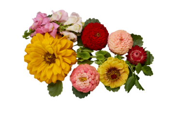 Yellow, red, and pale floral arrangement, isolated PNG, silo
