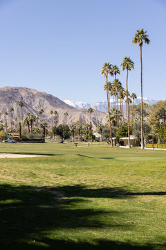 Golf courses in Palm Springs on a sunny day with mountain landscape in the background 