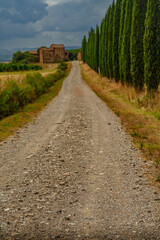 Cypress avenue towards stone villa, dramatic vertical composition, stormy Tuscan sky
