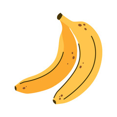 Two bananas isolated on white. Tropical fruit.