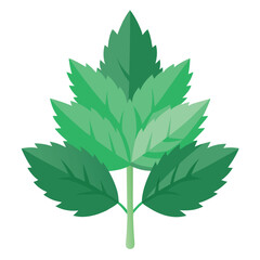 Bushy Herbal Plant Vector Icon with Clean Soft Leaf Texture on White Background – Nature, Organic, and Botanical Design