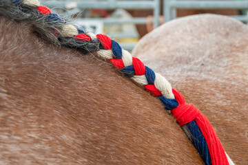 Close-up of a horse's mane braided with colorful ribbons © Natalya