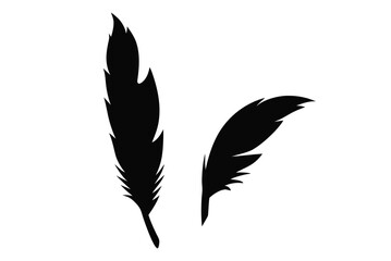 Obraz premium Bird feather silhouette vector, Feather icon, Black quill feather silhouette