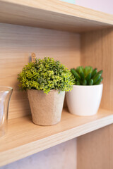 Close-up of a wooden shelf displaying a potted plant, enhancing the playful decor of a small, luxurious children's house with its soft tones.
