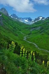 Austrian Alps - view of the Rüfispitze and Gümplespitze mountains near the village of Lech in the Lechtal Alps