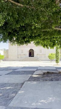 Windswept Tree at the Church Plaza, San Pablo Villa de Mitla, Oaxaca