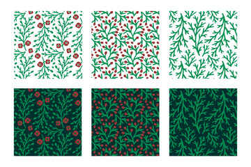 Color Botanical Seamless Patterns with Evergreen Cypress Foliage. Vector Illustration
