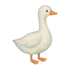 Obraz premium PNG Charming watercolor duck illustration.