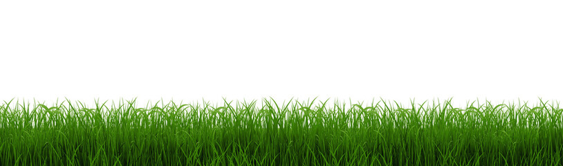 Fototapeta premium Green Grass Border With Isolated White Background