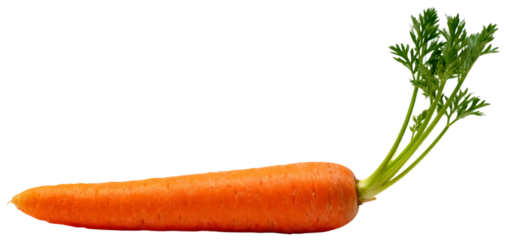 Fresh orange carrot with vibrant green leafy top on a plain background, transparent background png
