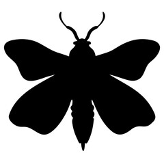 Moth silhouette vector illustration