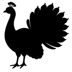Peacock silhouette vector illustration