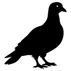 Pigeon silhouette vector illustration