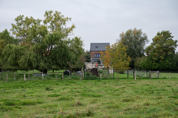 Green lawn and rural scene in Korbeek Dijle, Bertem, Flemish Brabant, Belgium