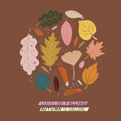 Hand drawn circle shape collection of different fallen leaves - birch, oak, maple, linden, gingko isolated on dark background. Set of fall botanical elements. Autumn vector clipart.