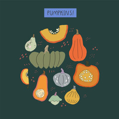 Cute doodle style squashes and pumpkins vector collection isolated on dark green background. Hand drawn circle shape autumn set. Clipart of fall harvest of vegetables.