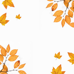 Autumn Flyers and Thanksgiving Flyers with Fall Festival Invitation
