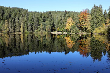 Der Mathisleweiher bei Hinterzarten im Herbst