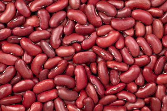 Red kidney beans background
