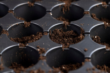 a container filled with fertile soil with a large number of round holes for seedlings, a black plastic tray for growing a large number of seedlings of agricultural or other plants filled with soil
