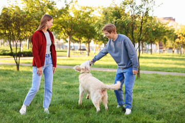 Happy couple playing with their adorable golden retriever dog in park