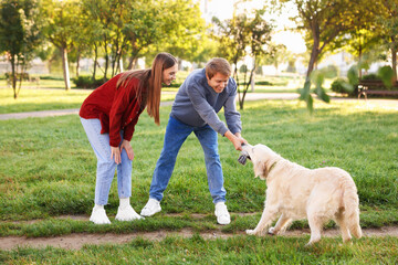 Happy couple playing with their adorable golden retriever dog in park