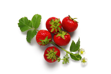 Sweet ripe strawberries with leaves and flowers on white background