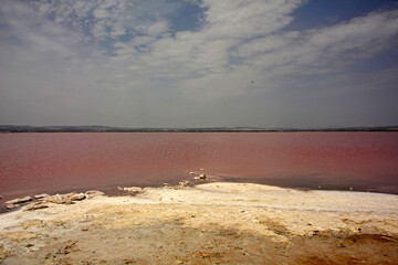 różowe jezioro, słone jezioro, Torrevieja, Hiszpania, Salt Lake in Torrevieja, lagoons for salt extraction in alicante, the pink lake of torrevieja, Costa Blanca, province of Alicante, Spain
