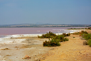 różowe jezioro, słone jezioro, Torrevieja, Hiszpania, Salt Lake in Torrevieja, lagoons for salt extraction in alicante, the pink lake of torrevieja, Costa Blanca, province of Alicante, Spain
