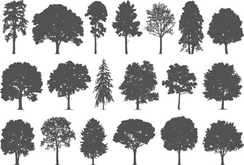 Collection of diverse deciduous and coniferous tree silhouettes in rows