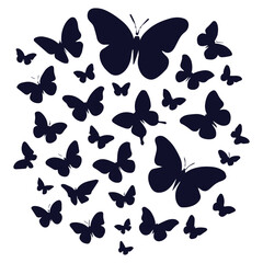 Purple Winged Butterfly Macro View